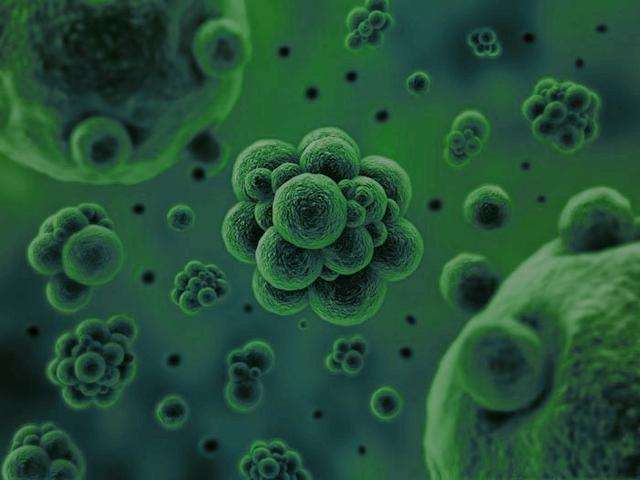 微生物是通過何種方式將廢水中的污染物分解去除掉的？