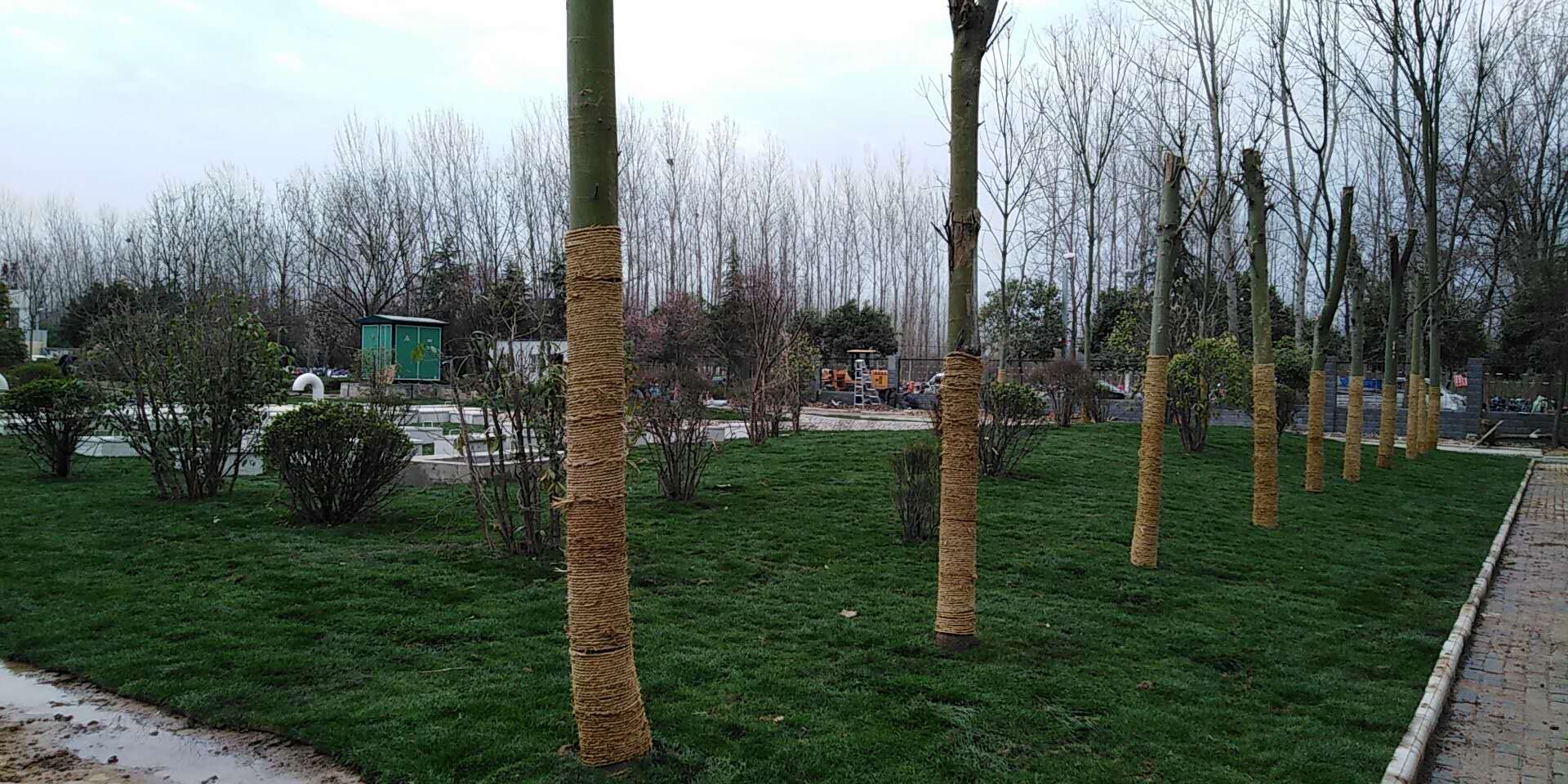 6、平輿縣一高地埋式污水處理2