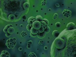 微生物是通過何種方式將廢水中的污染物分解去除掉的？